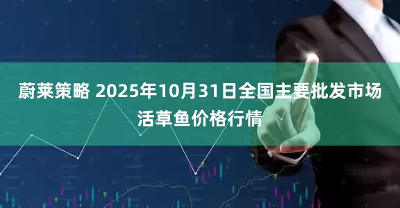 蔚莱策略 2025年10月31日全国主要批发市场活草鱼价格行情