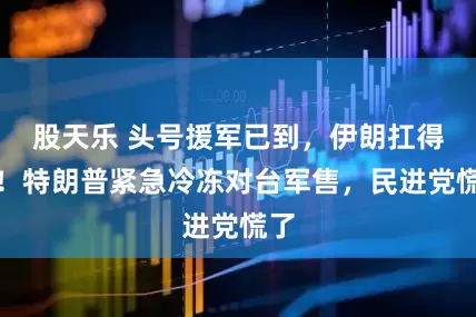 股天乐 头号援军已到，伊朗扛得住！特朗普紧急冷冻对台军售，民进党慌了